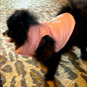Pink, dog, Vest, size XS